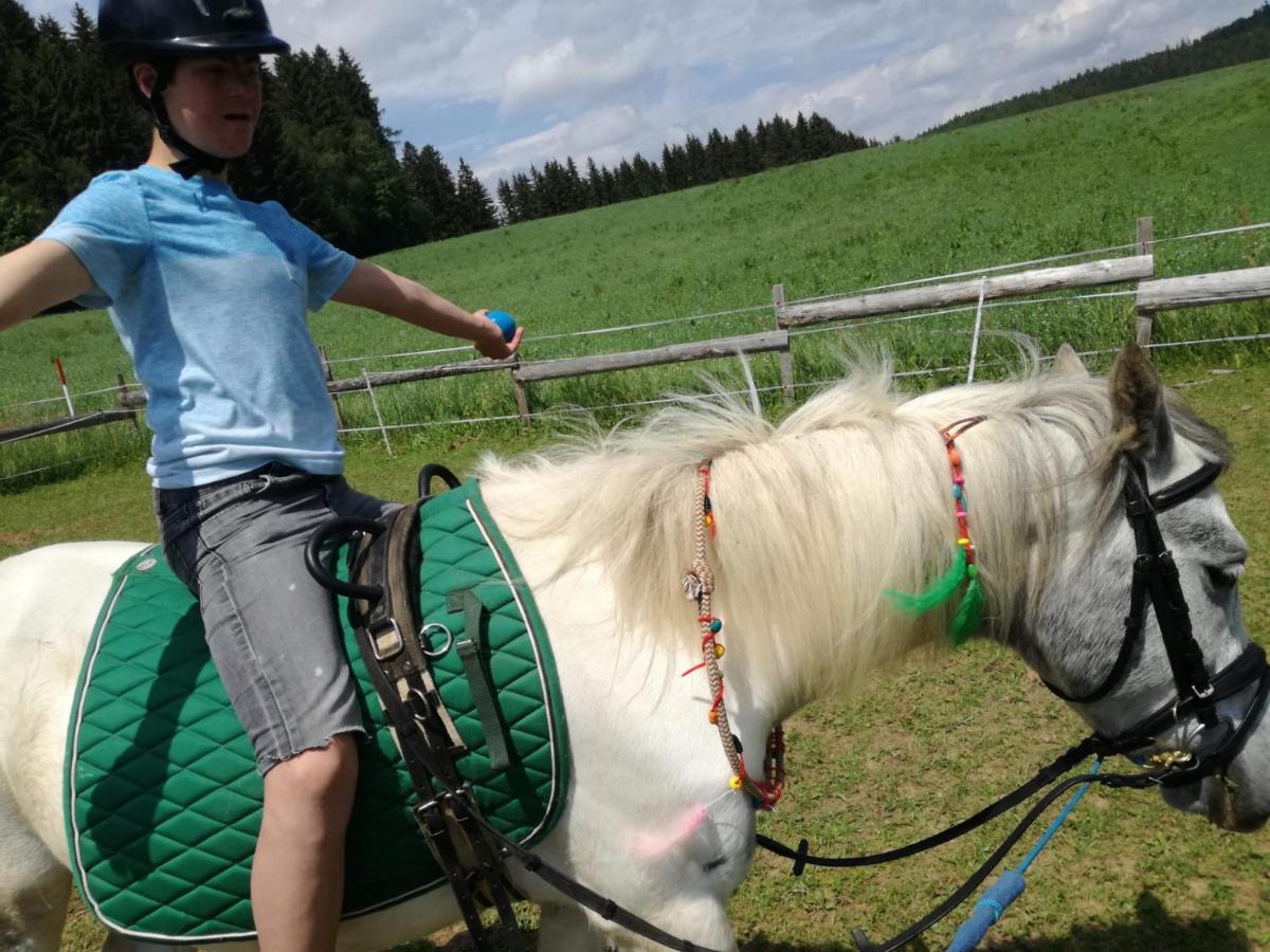 Gasthof Zum Kramer Gurk Екстер'єр фото